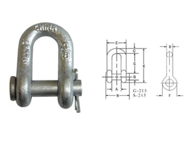 Shackle-G215 US CIRCUM ACUS VINCULUM