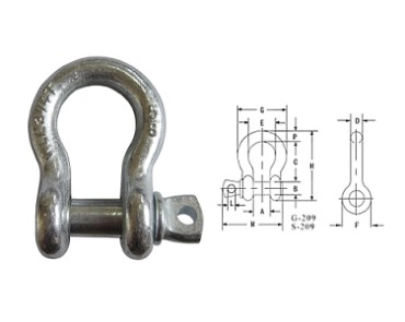 Shackle-G209 US COCHLIA ​​​​ACUS ANCHORA IACEO